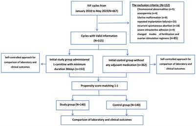 The efficacy of orally administered L-carnitine in alleviating ovarian dysfunctions has laid the foundation for targeted in vivo use: a study employing self-control and propensity score matching